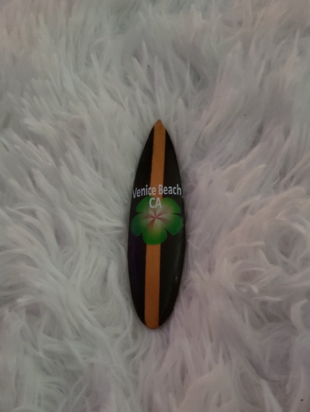 Venice Beach CA Magnet